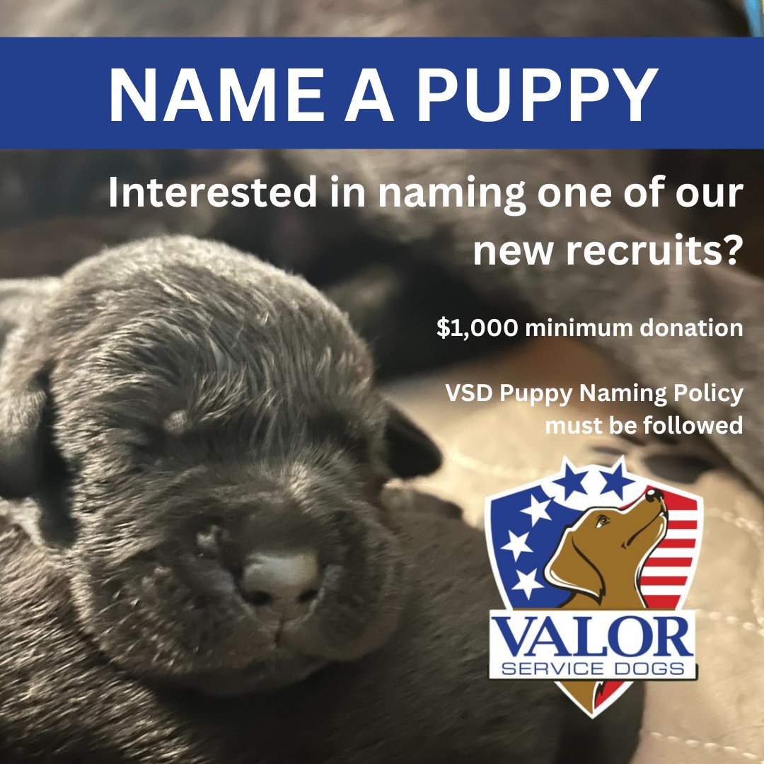 Valor Service Dogs tweet media