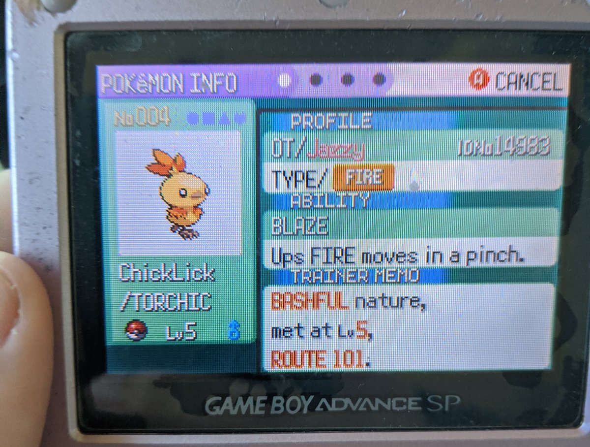 DaisyDevons's tweet photo. I was shiny hunting on my old game boy and I got this handsome devil today 😎 https://t.co/JdpMfavo6F