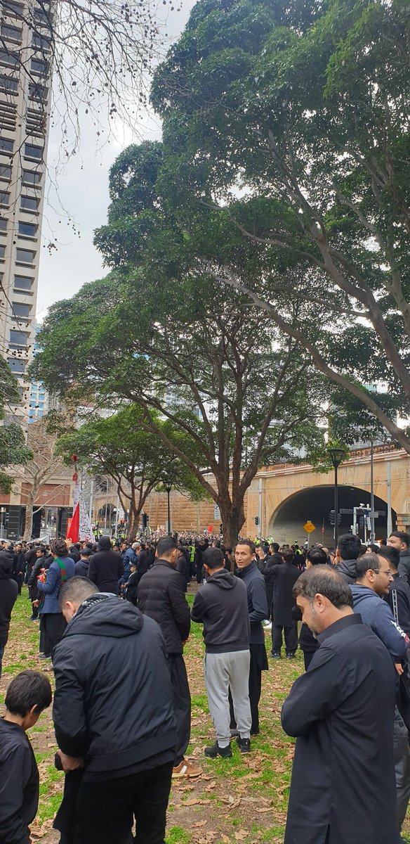 Tanveer Jeddy tweet media