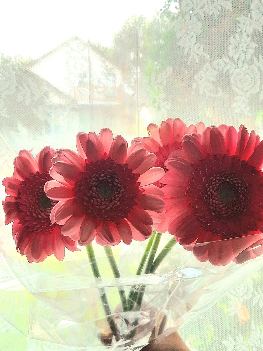 ybi71's tweet image. 私もついに！😆❤️‍🔥🇨🇦
スポンサーしてくれた旦那さんには計り知れない感謝の気持ちでいっぱいです…よーし、まずはダブルワークで貯金稼ぐぞー！🫡
#永住権 #移民生活 #カナダ #カルガリー