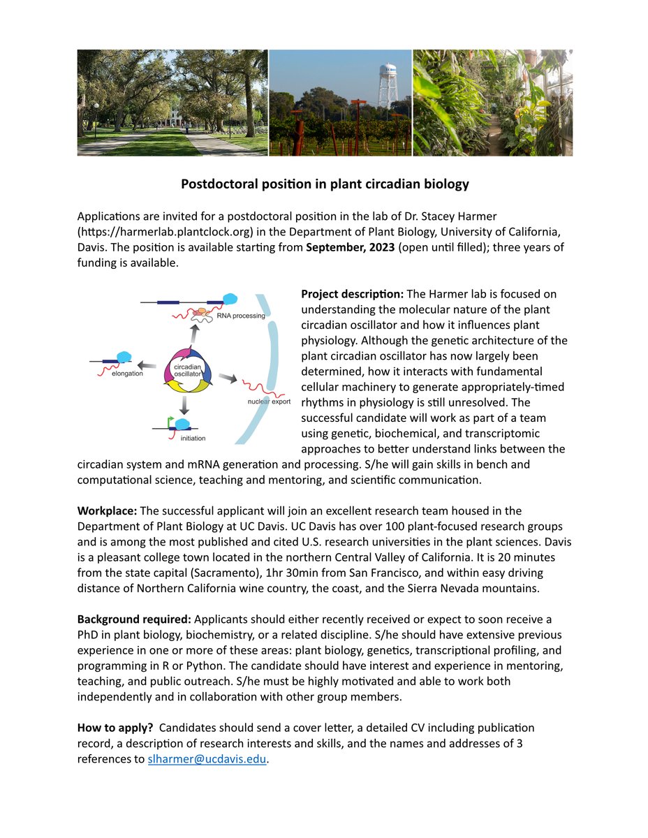Please RT. My lab at @ucdavis is recruiting a postdoc to investigate how the plant circadian clock influences mRNA processing and vice versa. More info attached. #plantclock #RNA #circadian #RNAsplicing