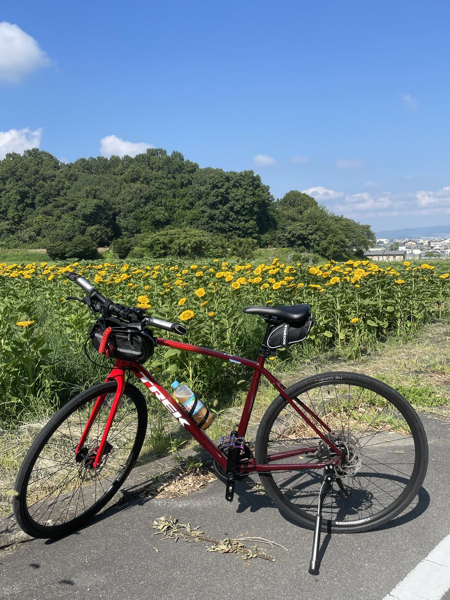 kkytponta's tweet photo. 朝活🚲💨
今日は海でなく山〜
自然は良いな😁
心地良い滝汗でた〜
#朝活
#トレックfx
#fx3disk
#trek
#石上神宮 https://t.co/93O7IusM1W