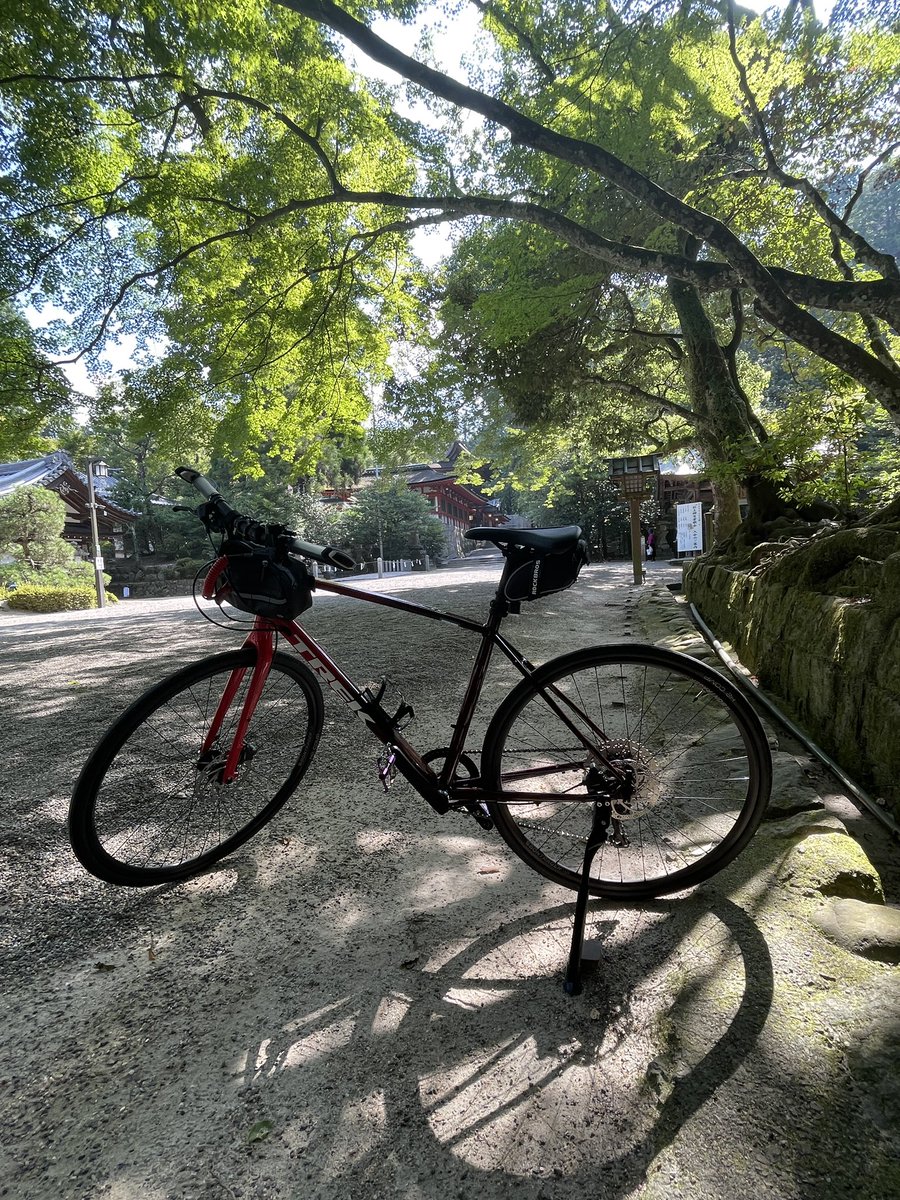 kkytponta's tweet photo. 朝活🚲💨
今日は海でなく山〜
自然は良いな😁
心地良い滝汗でた〜
#朝活
#トレックfx
#fx3disk
#trek
#石上神宮 https://t.co/93O7IusM1W
