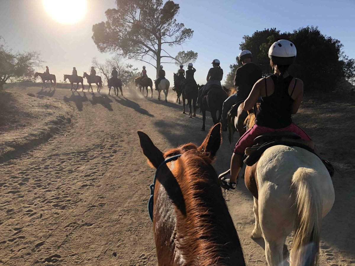 SunsetRanchLA's tweet image. Thursday vibes 💕 who is ready to ride 

#sunsetranchhollywood #summer2023 #hollywoodsign #hollywood  
Sunsetranchhollywood.com