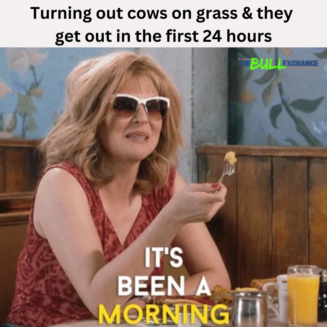 MikaylaSchaefer's tweet photo. It's truly the little things in life that make me happy... bringing the memes I make back to Twitter 👇 https://t.co/1QkrmA2loj