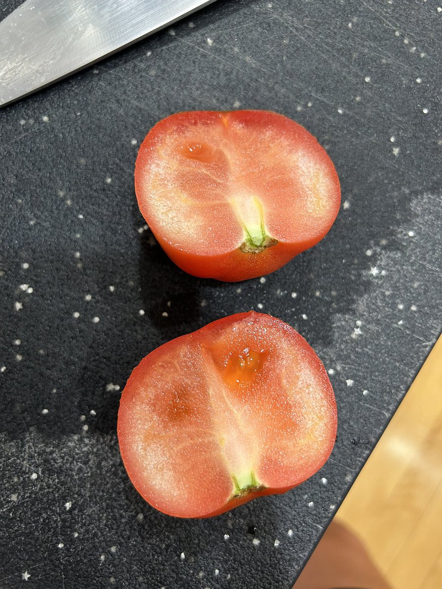 _Hillz_'s tweet photo. @sobeys why do you freeze and unfreeze your product and then sell it. Every time I spend so much money all my tomato’s are disgusting? https://t.co/3d2VDqCiB4