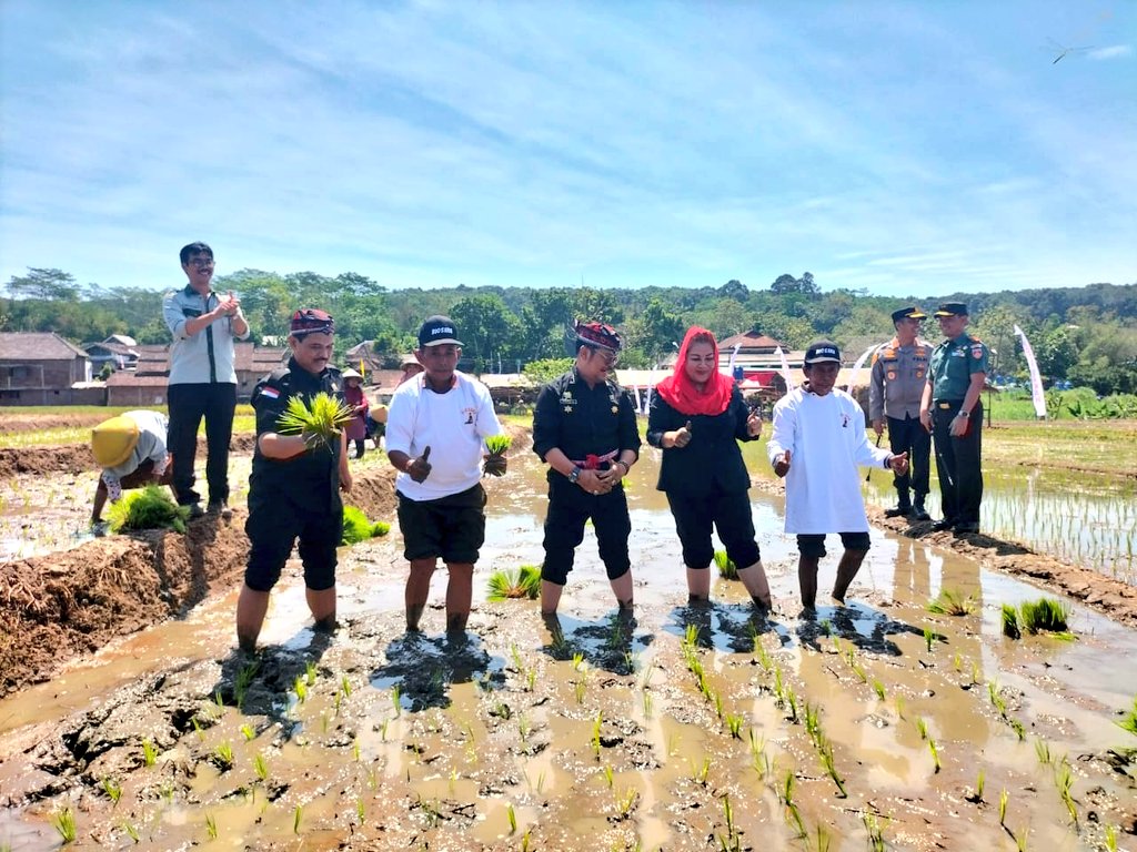 distannakjateng's tweet photo. Menteri Pertanian RI @Syahrul_YL bersama Walikota Semarang @mbakITASMG melakukan Gerakan Panen &amp; Tanam Padi Dalam Rangka Antisipasi El Nino di Poktan Ayem Tenang, Kel.Tambangan,Mijen,Kota Semarang (27/07/2023). Hadir mendampingi Ka.Distanbun Jateng @SupriyantoMulya.
#JatengGayeng https://t.co/71eVE09roU