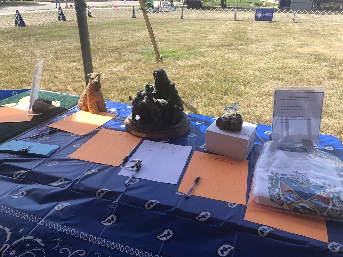 scwtca's tweet image. Here are some photos from the SCWT Greater Milwaukee specialty - congrats to the Club for putting on a great show.