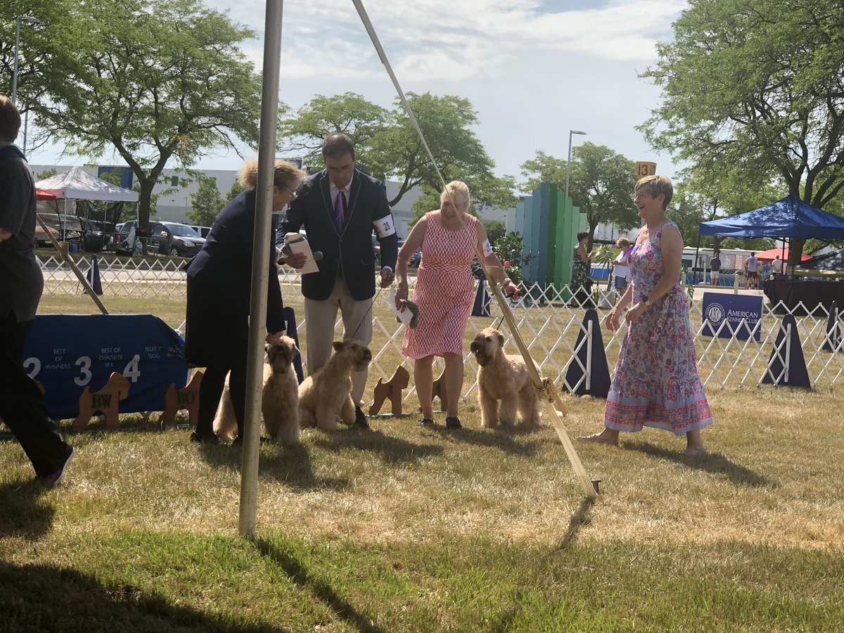 scwtca's tweet image. 