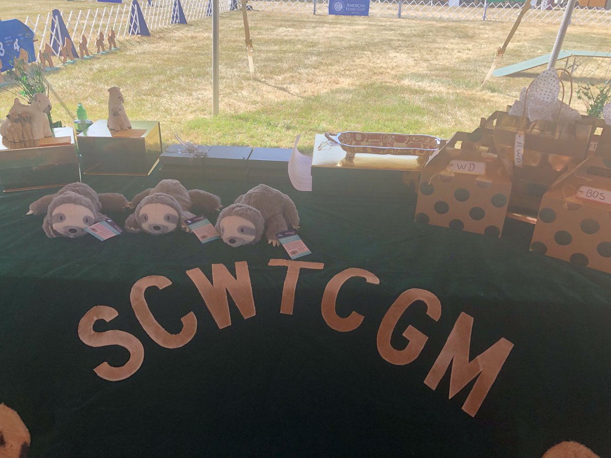 scwtca's tweet image. 