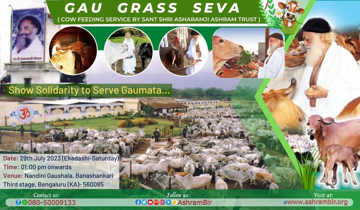 Cow is the gentlest creation of GOD &amp; Sant Shri Asharamji Bapu says that we don't serve cows rather cows serve us.

Getting inspired from this, #Ashram #Bengaluru is organising the Gau Grass Seva program at Gaushala #Banashankari, #Bangalore on 29.07.2023 i.e. Padmini Ekadashi.