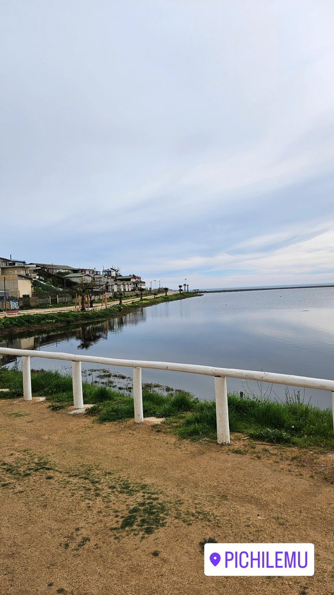 RaizeN✨🇨🇱 tweet media