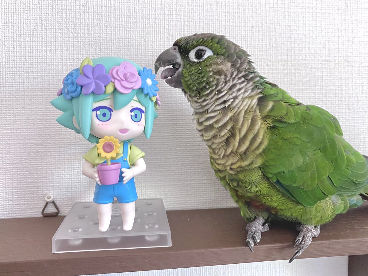 飼い主の新しいフィギュアだ！！！
ちょっと噛むか！！！！！
