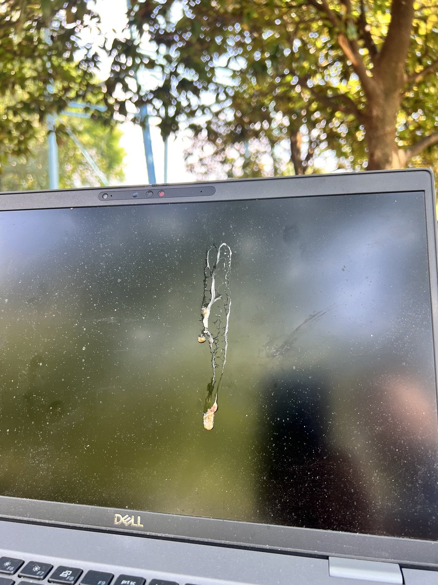 Chattanooga Parks and Outdoors tweet media