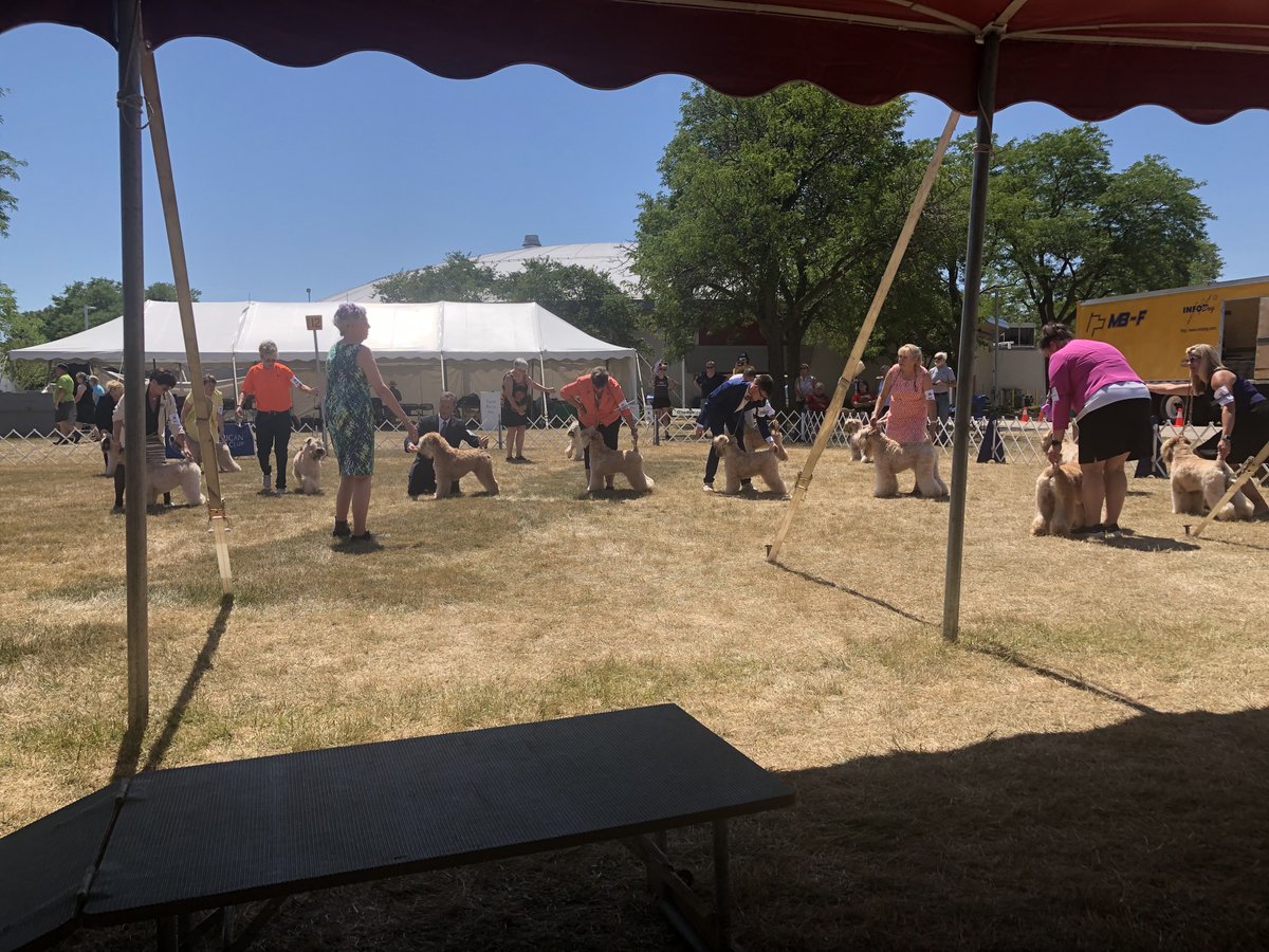 scwtca's tweet image. 