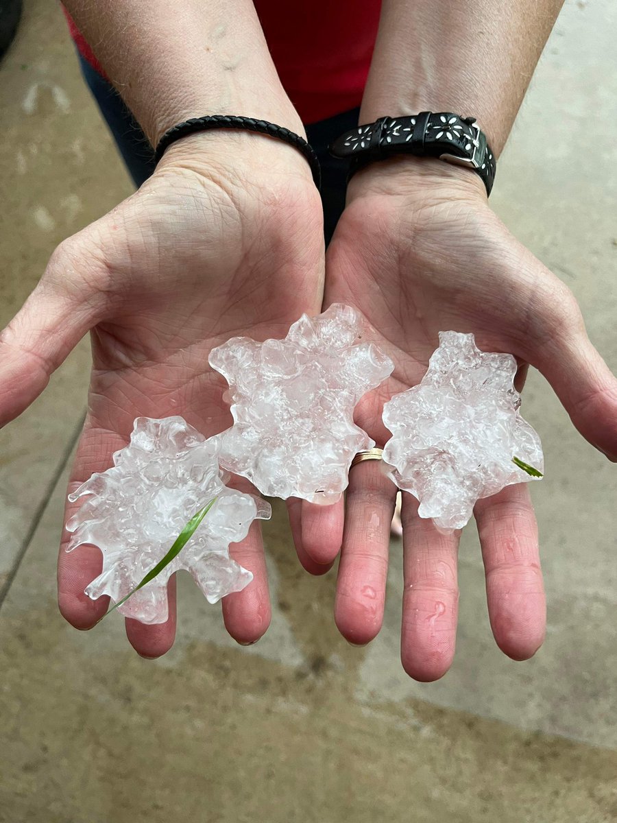 BrookeBrighton's tweet photo. Nearly baseball size hail from Medford, WI Friday evening. #wiwx 

📸: Peter Helberg https://t.co/oD3zv7P4F2