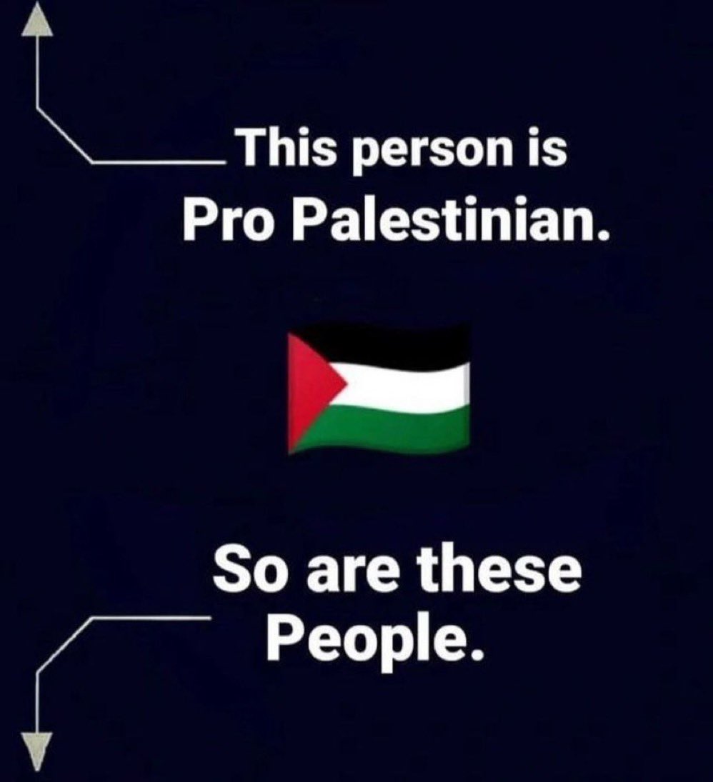 HalalNation_'s tweet photo. We Muslims support our brothers and sisters 🇵🇸 ❤️ https://t.co/YgVzz6Yvjp