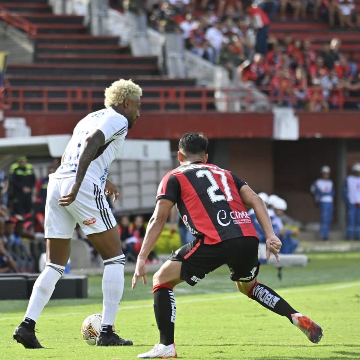 Mao Duarte tweet media