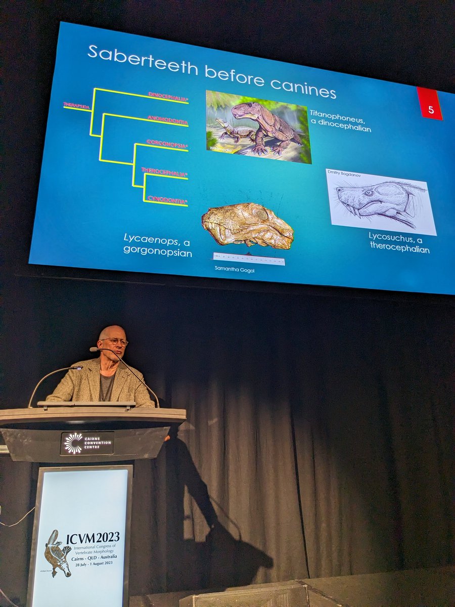 Great sponsored sessions today at #ICVM2023, including "Long in the Tooth: New insights into functional morphology of hypertrophied canines" which will become an AR Special Issue edited by <a href="/AdamHRose/">Adam Hartstone-Rose</a>, <a href="/TIPollock/">Dr Tahlia Pollock</a> &amp; Lars Werdelin.