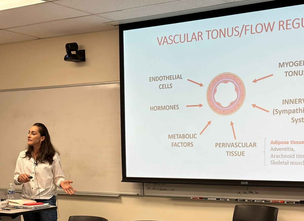 Early career seminar at the @UofSCSOMC @CTRC_UofSCSOM
It was a pleasure to share knowledge.
@CFWenceslau 
#vascular #perivascular #hypertension #skeletalmuscle #vsmc #endothelialcell