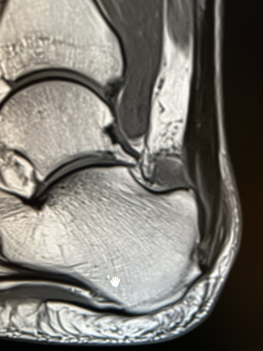 MSK Teaching Room tweet media