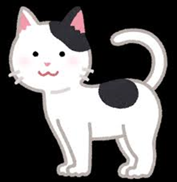 lynghn6's tweet photo. Cute Cat ! https://t.co/q7nmO8e4TW