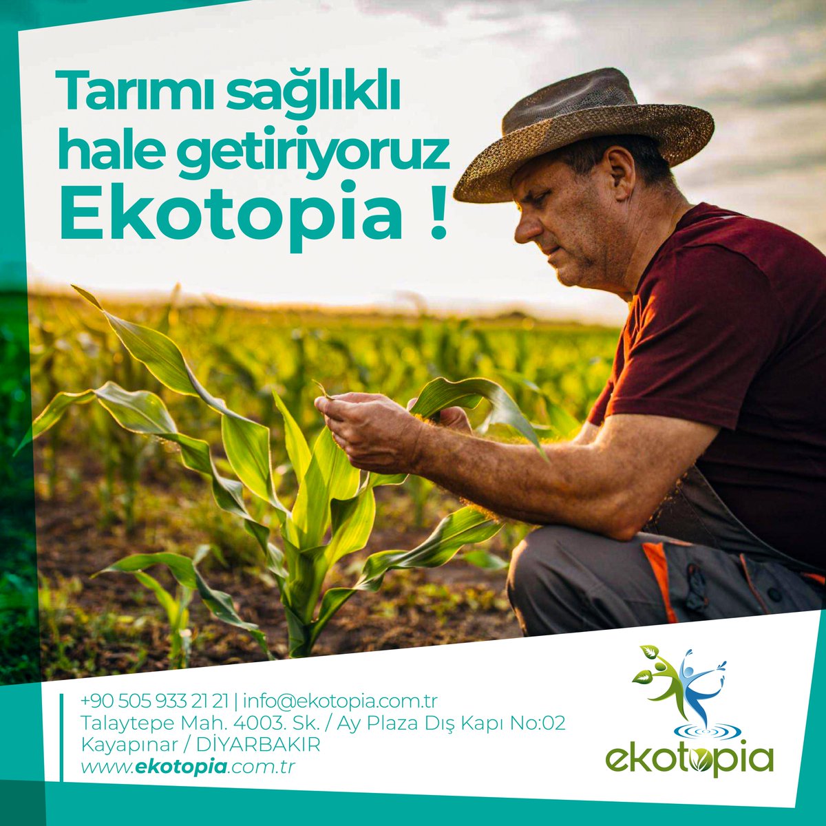 Ekotopia_AS's tweet photo. Tarımı sağlıklı hale getiriyoruz.
🌐 https://t.co/zUoxne9BA8
☎️ +90 505 933 21 21

#gübre
#doğalgübre
#Tarim 
#toprak
#akıllıgübre
#ekolojiktarım
#ekonomiktarım
#granülgübre https://t.co/QKwzh8Itwn