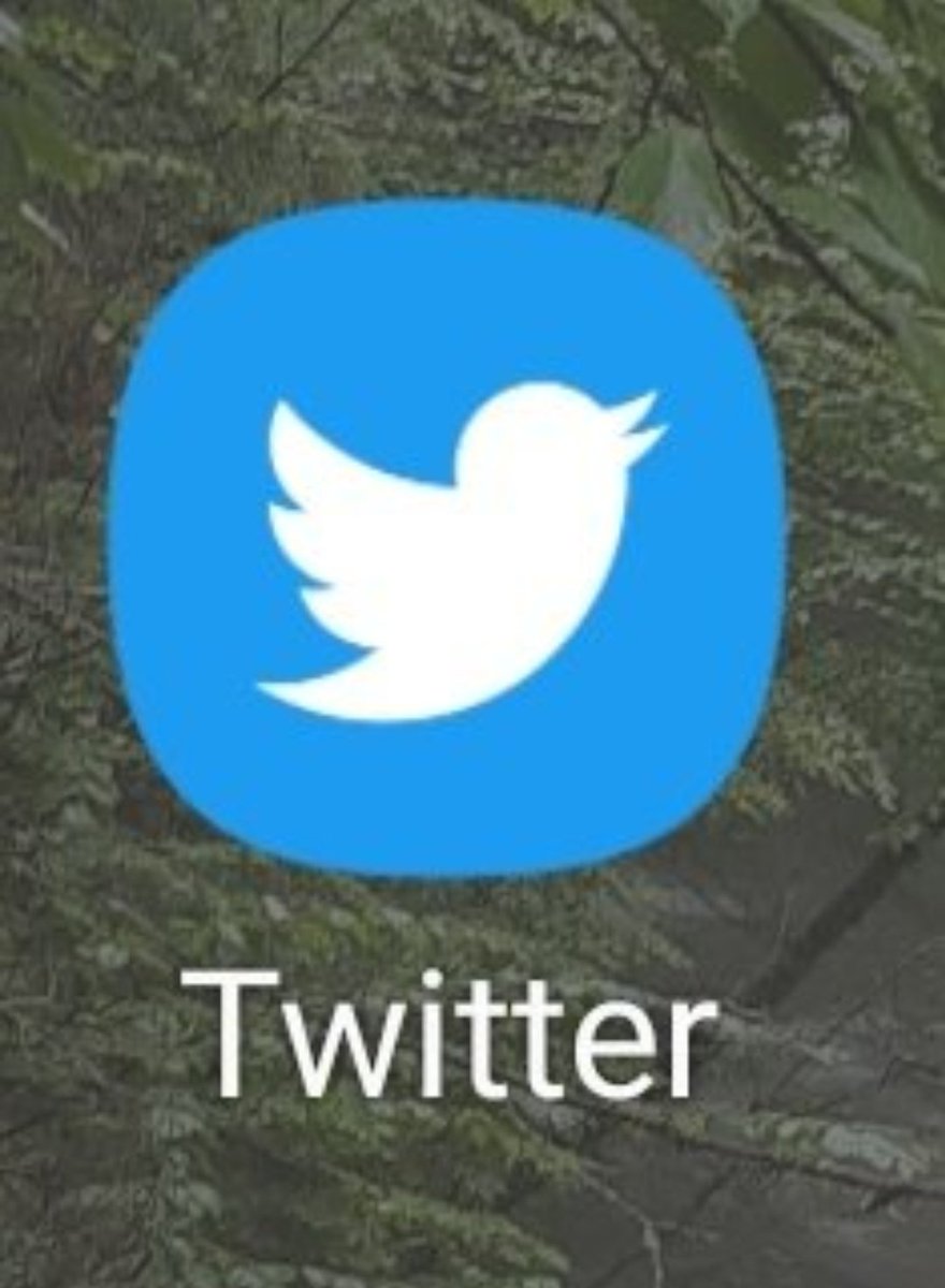 flower_10111's tweet photo. @elonmusk My bird for 1 last time 😪 https://t.co/8vfJPJqe6q