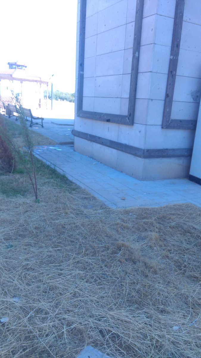 manisasehz9784's tweet photo. Belediyemizin temizlik işleri ile görüşülerek gelen ekipler tarafından sitemizin blok girişleri ve  cami avlusu yıkandı ☘️ https://t.co/loq3tGBZX7