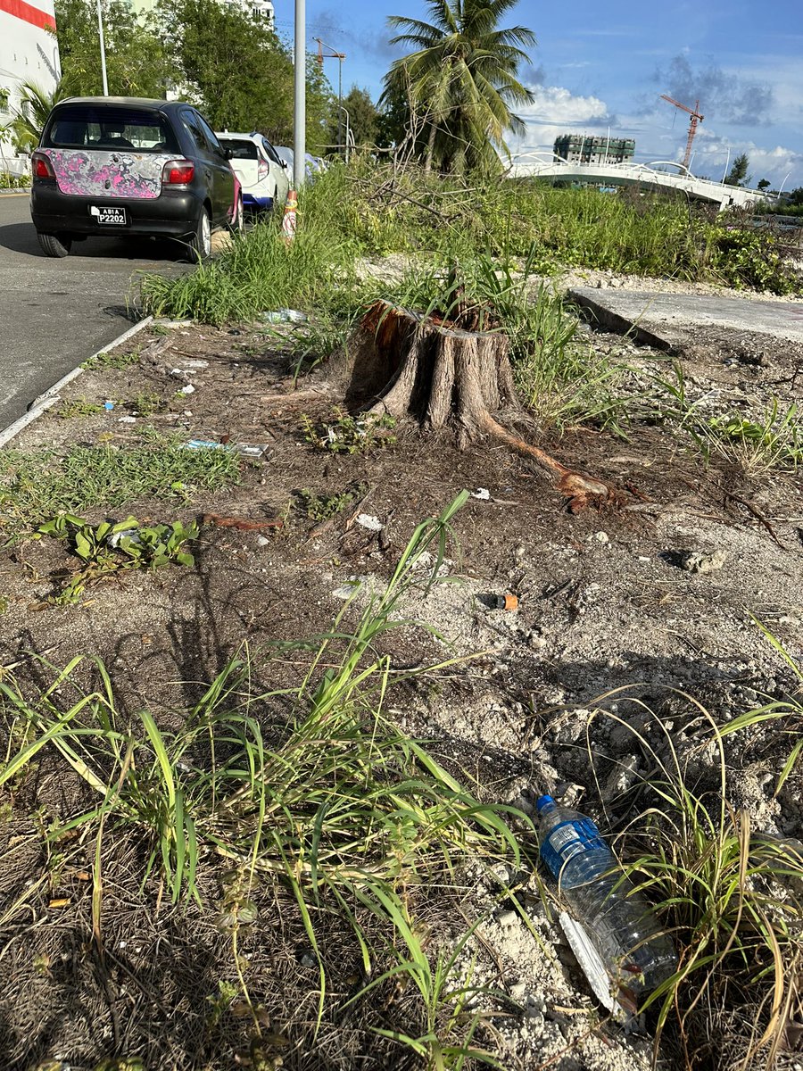 The garbage can stay BUT the trees can’t ! <a href="/hdcmaldives/">Housing Development Corporation</a> 
#pandemicofunconciousnessanddisconnect