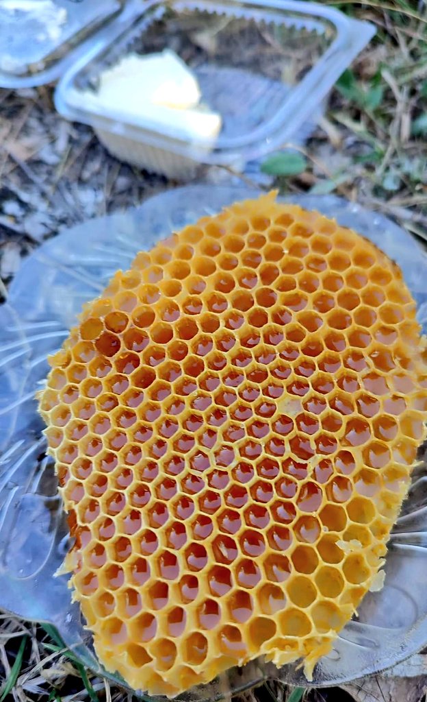 Sivasbalevi's tweet photo. Kovandan yeni çıktı sıcağı sıcağına
Kahvaltınız hazır 🍯🍯
#sivas yöresinin #dogal #çiçekbalı
#gercekbal arayanlar için burdayız
#ZİHNİÇİFÇİSİVASBALEVİ🇹🇷📩
#bee #nahl #flowerhoney #beekeeping #honey #SonDakika
#TwitterX #CudiYaniyorSesVer #SonDakika #ATATÜRK https://t.co/YqhiAtzNIp