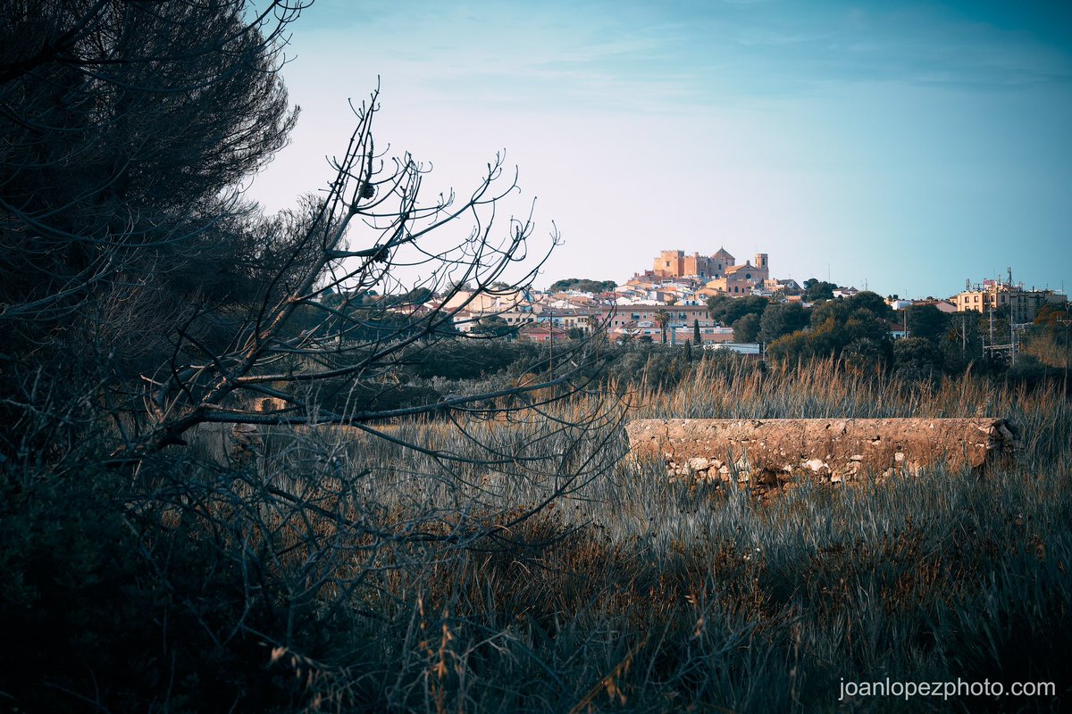 joanlopezphoto's tweet photo. Setting for a historical novel
📸 Fujifilm X-T5
📷 Fujinon XF 50-140mm F2.8 R LM OIS WR
#altafulla #tarragones #castellaltafulla #castelldaltafulla #altafullacastle #castelldelsmontserrat #esglesiadesantmarti #santmartidaltafulla #santmartialtafulla #architecture #architecturephotography #village #trees #field #fields #branches #treetops #horizon #landscape #landscapephotography #reedbeds #sky #photographer #photography #captureonepro #fujifilm #fujifilm_xseries #fujifilmxt5 #fujixt5 #xt5