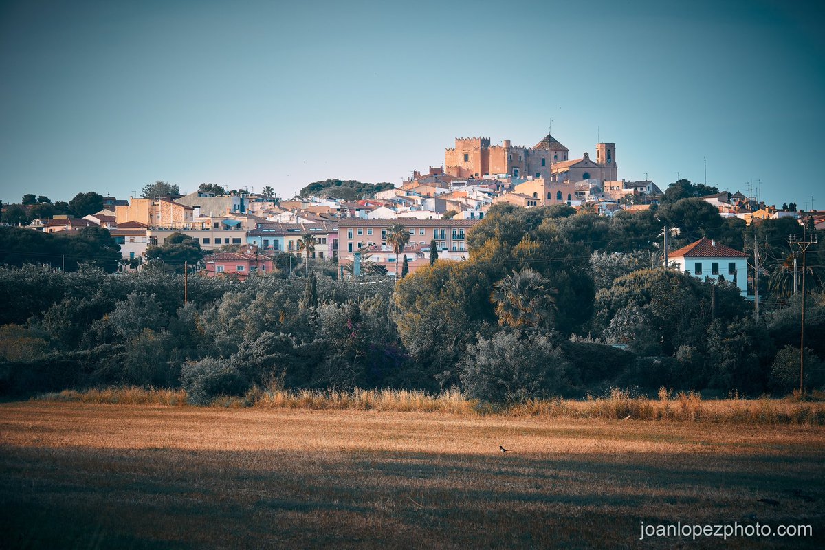 joanlopezphoto's tweet photo. Setting for a historical novel
📸 Fujifilm X-T5
📷 Fujinon XF 50-140mm F2.8 R LM OIS WR
#altafulla #tarragones #castellaltafulla #castelldaltafulla #altafullacastle #castelldelsmontserrat #esglesiadesantmarti #santmartidaltafulla #santmartialtafulla #architecture #architecturephotography #village #trees #field #fields #branches #treetops #horizon #landscape #landscapephotography #reedbeds #sky #photographer #photography #captureonepro #fujifilm #fujifilm_xseries #fujifilmxt5 #fujixt5 #xt5