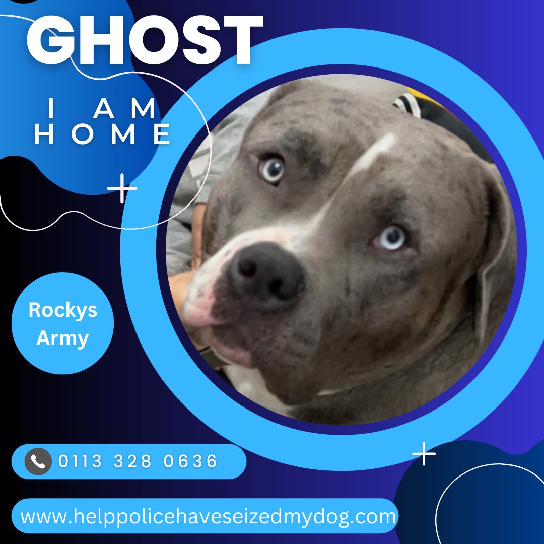 Rockys Army Fighting BSL & DDA tweet media