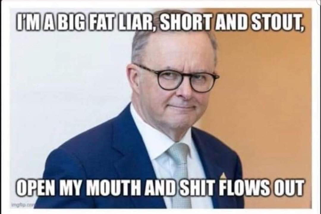 JanV12363871's tweet photo. Bring on a double dissolution Mr 32%. https://t.co/7b95lOK1bS