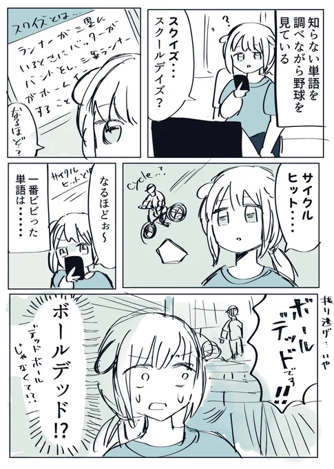 初心者のおうち野球観戦スタイルです