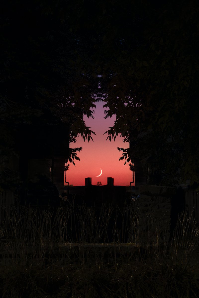 pictures (@pictures) on Twitter photo 