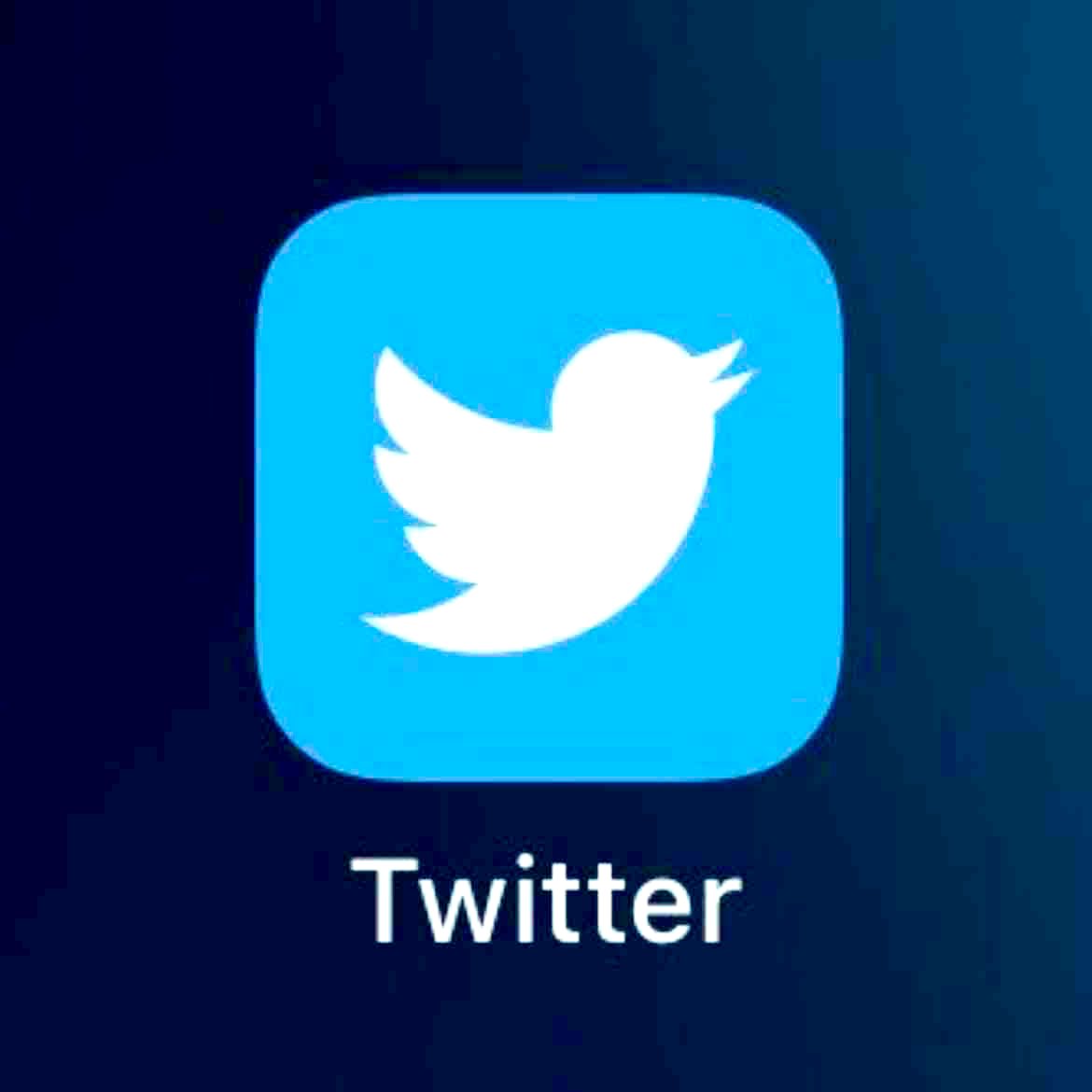 . tweet media