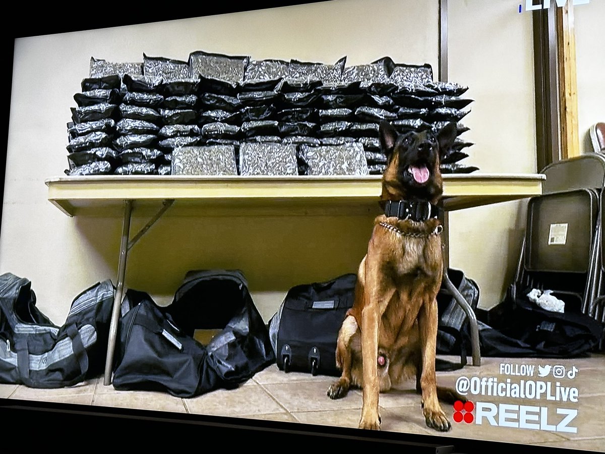 Jim_SchaefferLV's tweet photo. @OnPatrolLive That’s a good boy! https://t.co/Y9wE2qfZWF