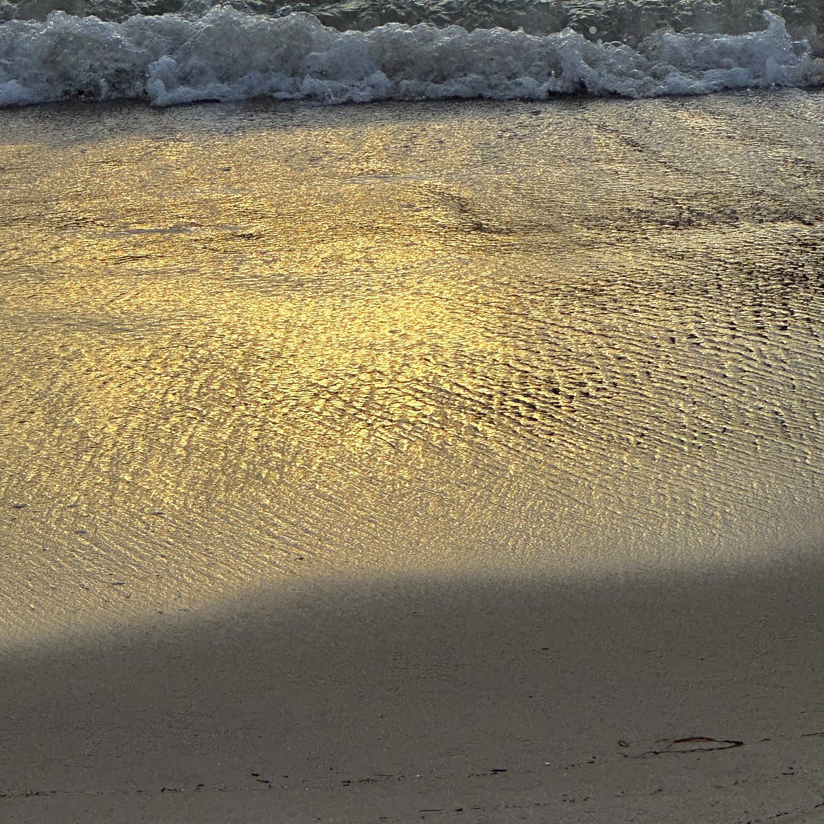 ✨ hope you have a good day :– )