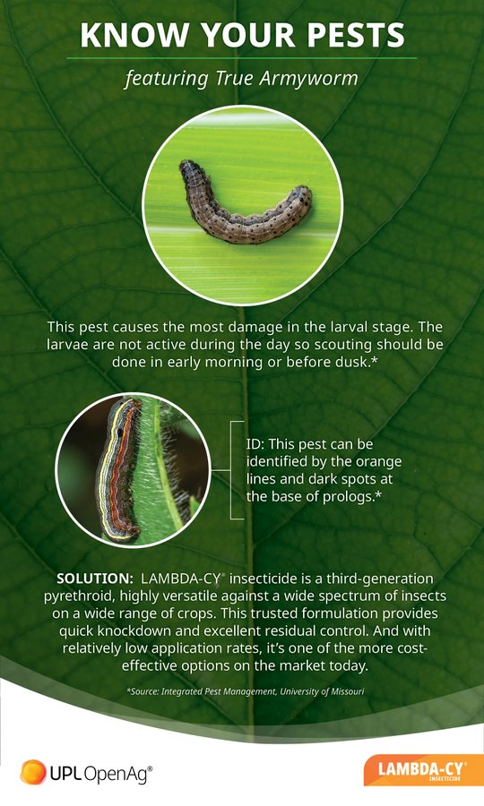 Worried about the impact of armyworms on your rice fields this summer? As these pests transform into larvae, they can wreak havoc on your fields. LAMBDA-CY® insecticide provides quick knockdown and excellent residual control. Learn more: bit.ly/3oTeoj5