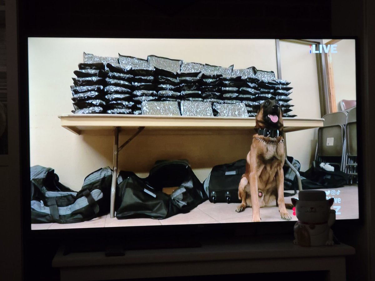 Great work, K9 Bosco!!!
#HazenPD 
@ReelzChannel @OfficialOPLive #OPLive #OPNation #OnPatrolLive #OPL100