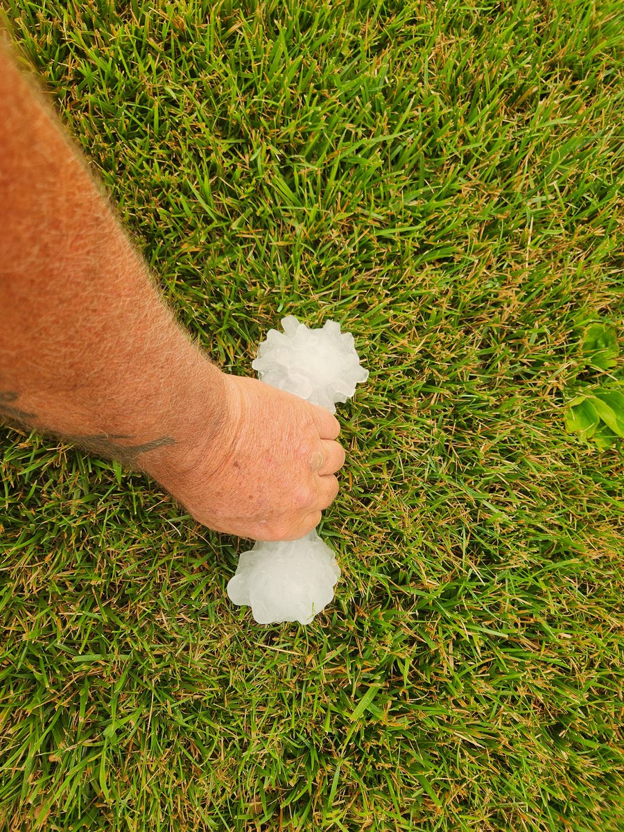 brian bank tweet media