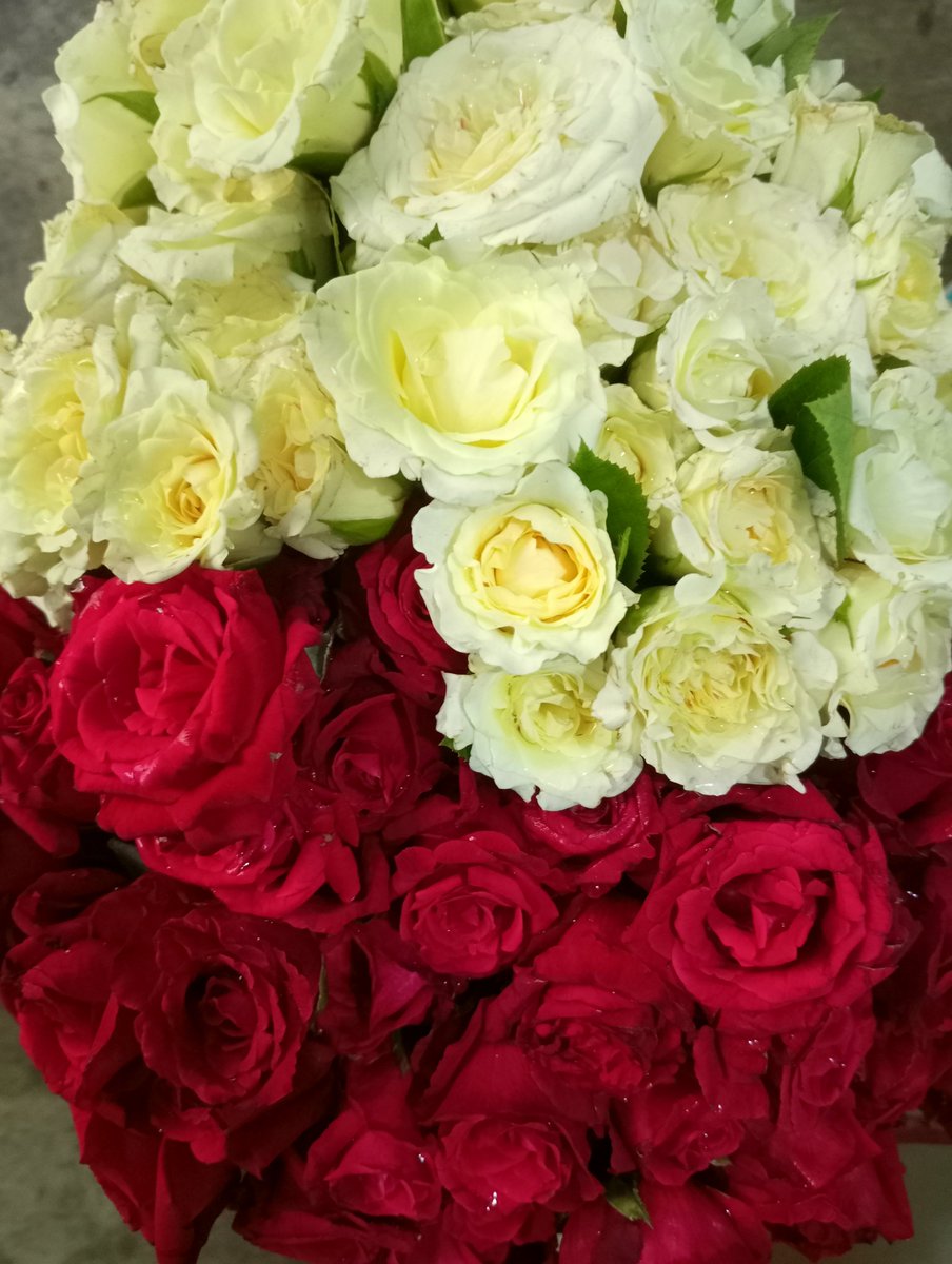 ideboshree's tweet photo. All these for just 40rs. You'll get the most cheapest flowers in Howrah flower market😍
#Weekendrituals https://t.co/nsvHhYDGP5