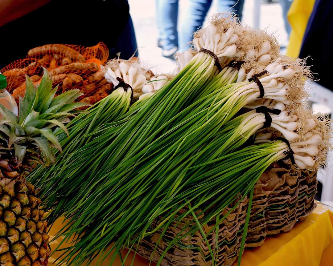 comunicasur1's tweet photo. En Popayán, mercados campesinos apuestan por la soberanía alimentaria. El día de hoy acompañamos los campesinos y campesinas del cauca, en el festival de la cosecha de Popayán.

Con el objetivo de llevar bienestar a los hogares y apoyar los pequeños productores. https://t.co/d05JVyioaR