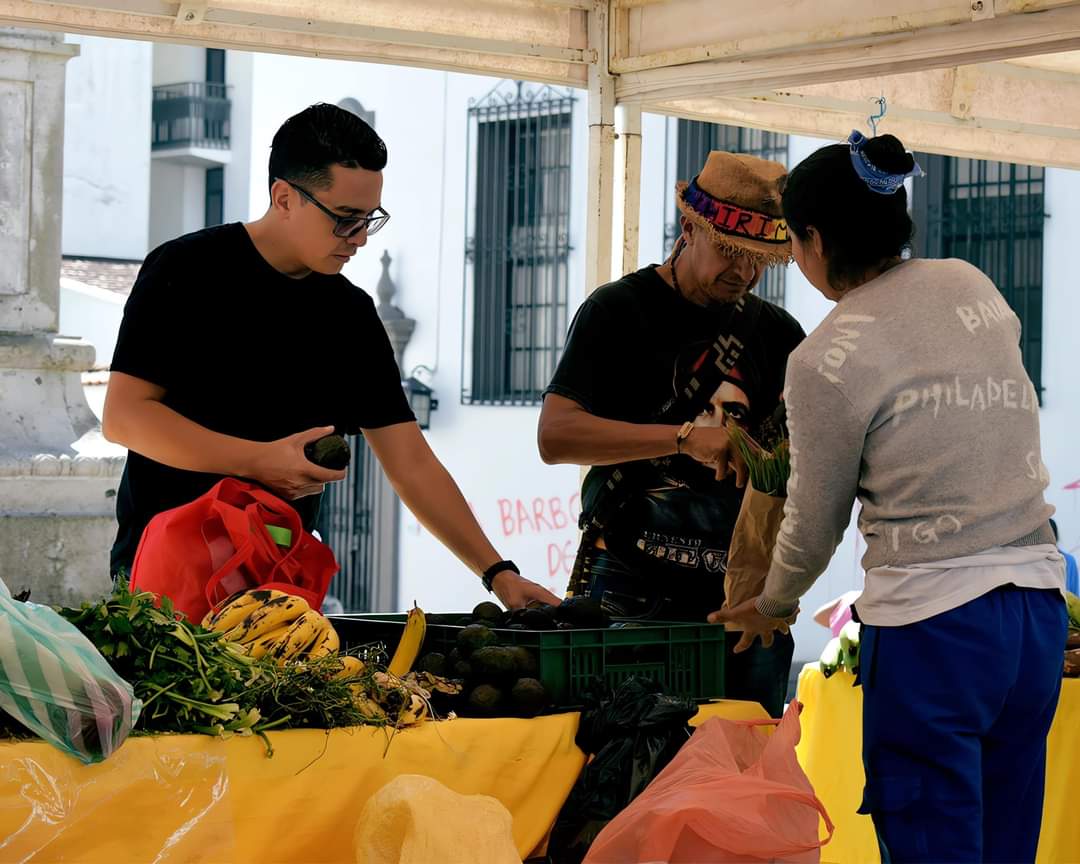 comunicasur1's tweet photo. En Popayán, mercados campesinos apuestan por la soberanía alimentaria. El día de hoy acompañamos los campesinos y campesinas del cauca, en el festival de la cosecha de Popayán.

Con el objetivo de llevar bienestar a los hogares y apoyar los pequeños productores. https://t.co/d05JVyioaR