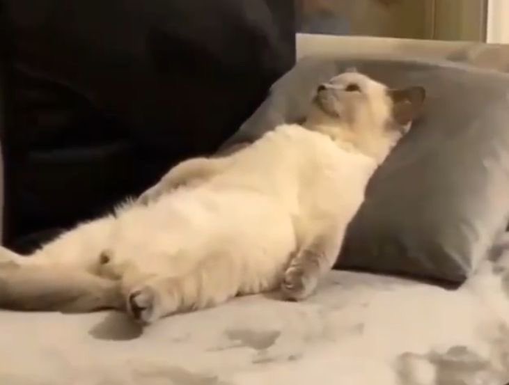 สภาพกูในวันหยุด นอนทั้งวันไม่สนลูกใคร