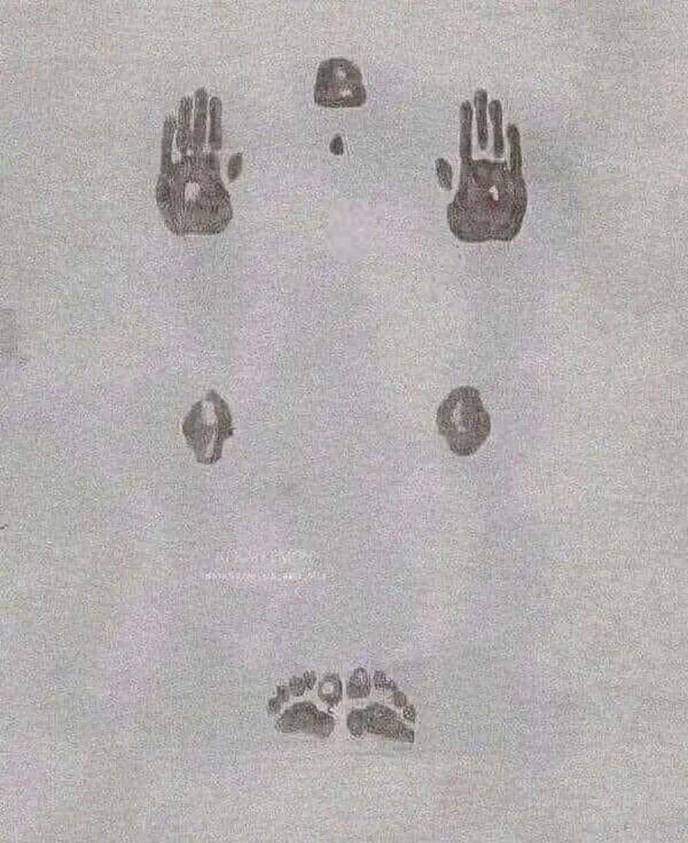 ودّي ارمي من على متون الصبر آخر متاعي 
مثل ما يرمي المصلي ما على متونه بسجده .