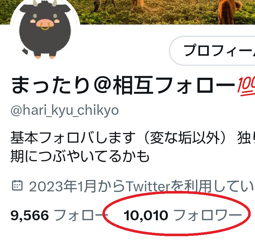 フォロワ様が1⃣0⃣0⃣0⃣0⃣を超えました。
とうとう万垢達成です。

本当に本当に
フォロワ様ありがとうございます。
すごく嬉しいです。

#フォロバ100
#相互フォロー募集中