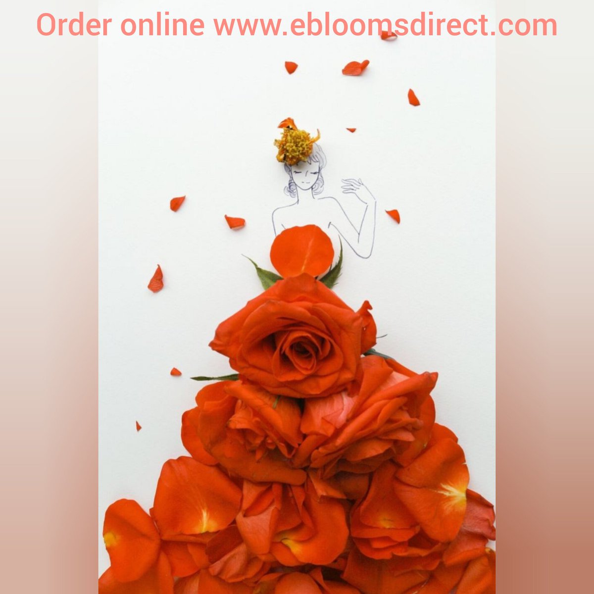 ebloomsdirect's tweet photo. Orange flowers, order online with free delivery for all the USA including Alaska and Hawaii.
https://t.co/A0rFNPYFoQ
#flowersnearme #flowerslovers #lovelyflowers #californiawedding #centerpiecesforweddings #greenlisianthus #EbloomsDirect #greenlife #flowersmakehappymoments https://t.co/H23Y68gk30